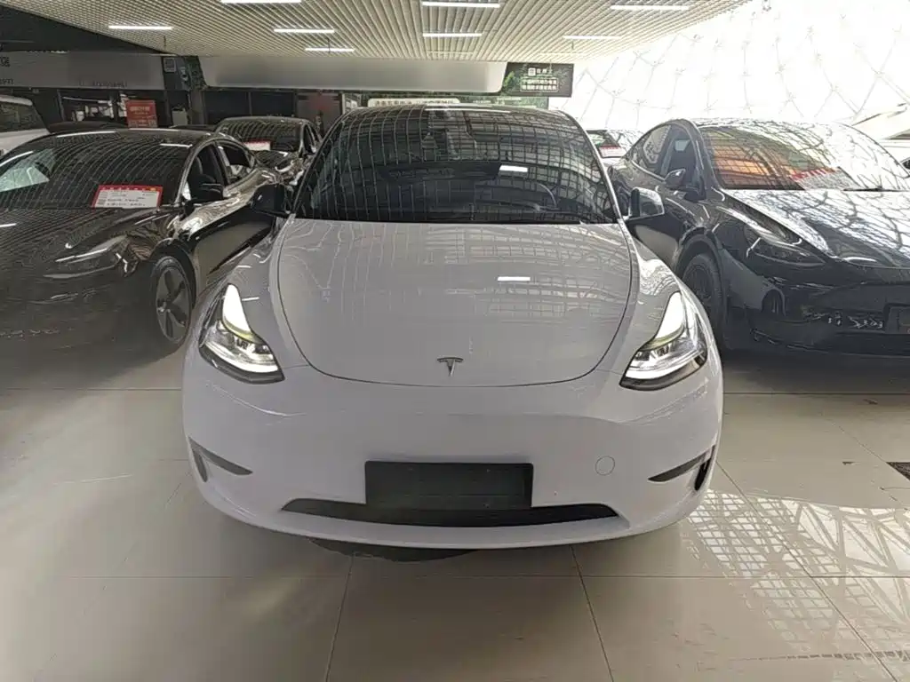 Tesla Model Y — фото 3