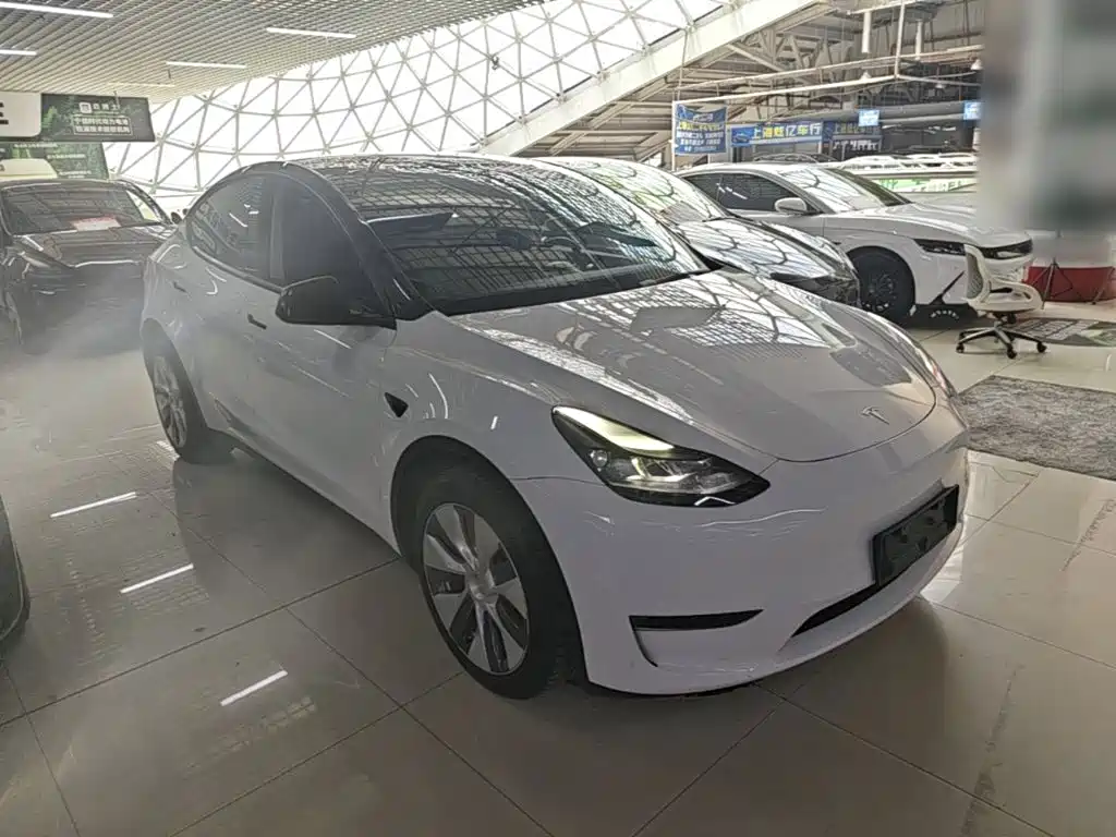 Tesla Model Y — фото 4