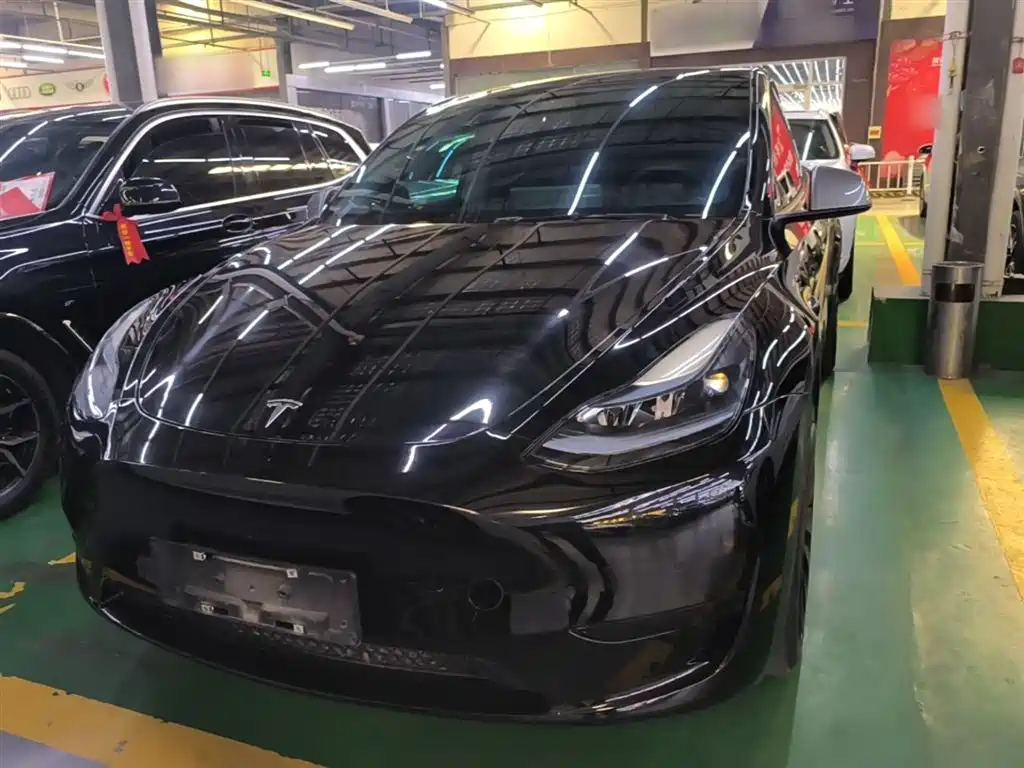 Tesla Model Y — фото 3