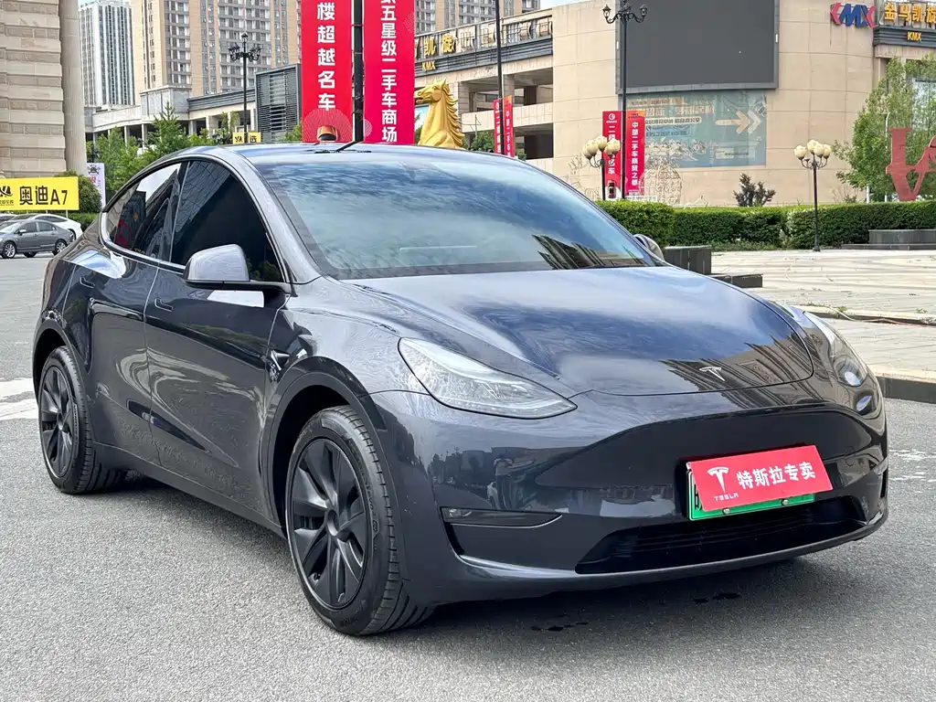 Tesla Model Y — фото 3