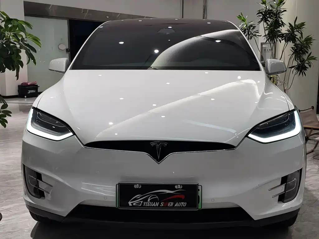 Tesla Model X — фото 3
