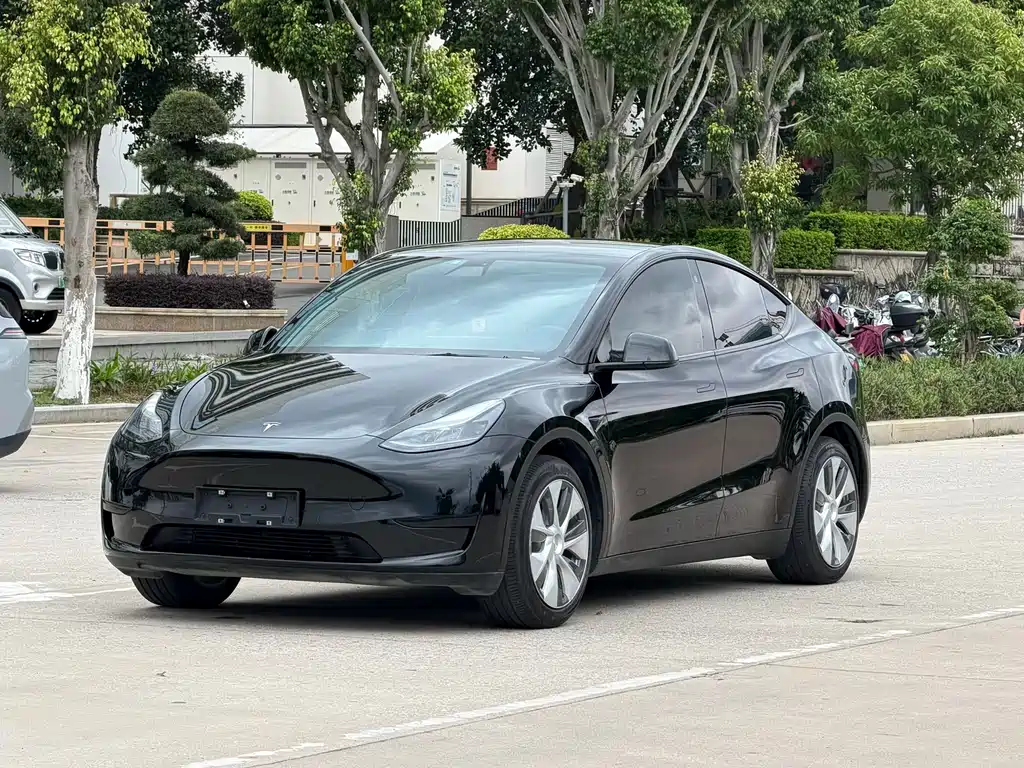 Tesla Model Y — фото 3
