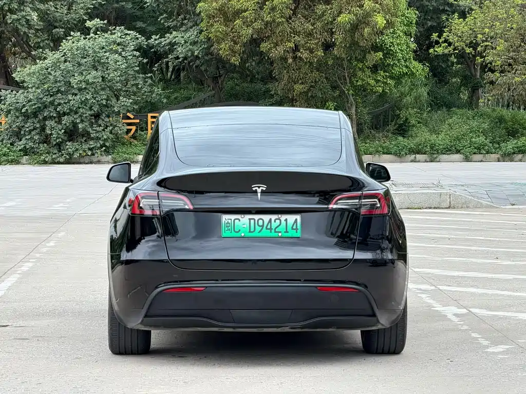 Tesla Model Y — фото 8
