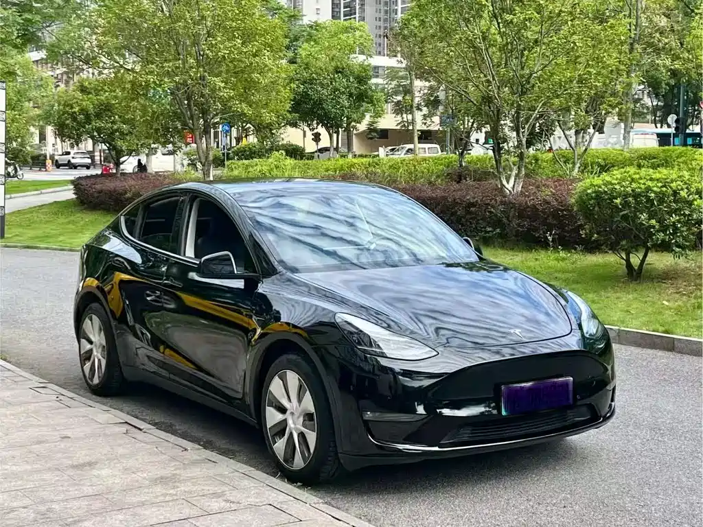 Tesla Model Y — фото 3