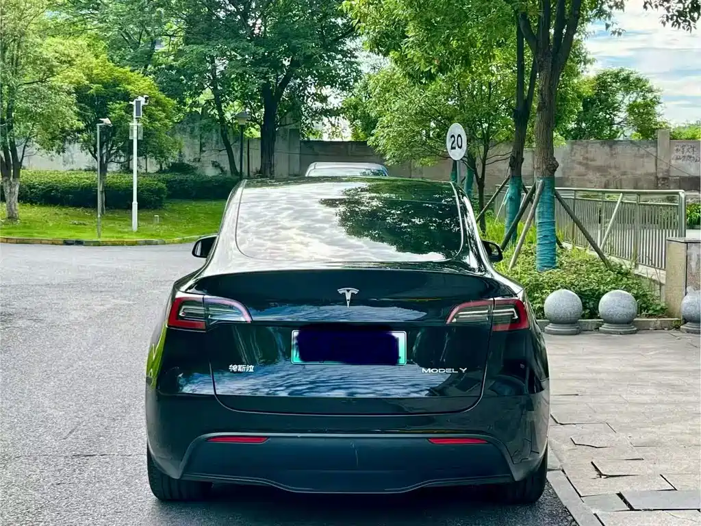 Tesla Model Y — фото 8