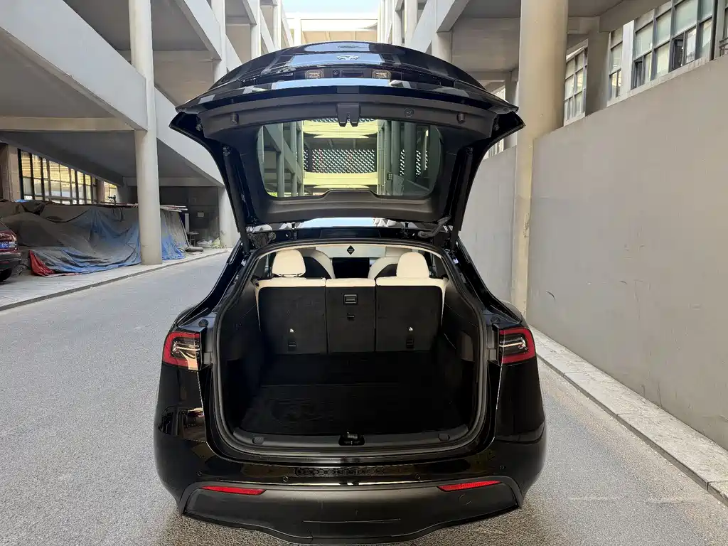 Tesla Model Y — фото 7