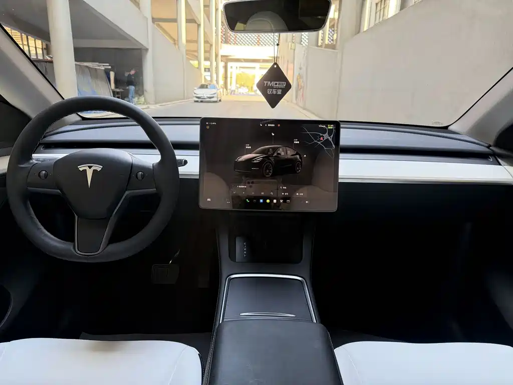 Tesla Model Y — фото 10