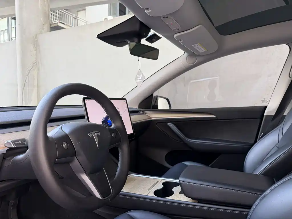 Tesla Model Y — фото 14