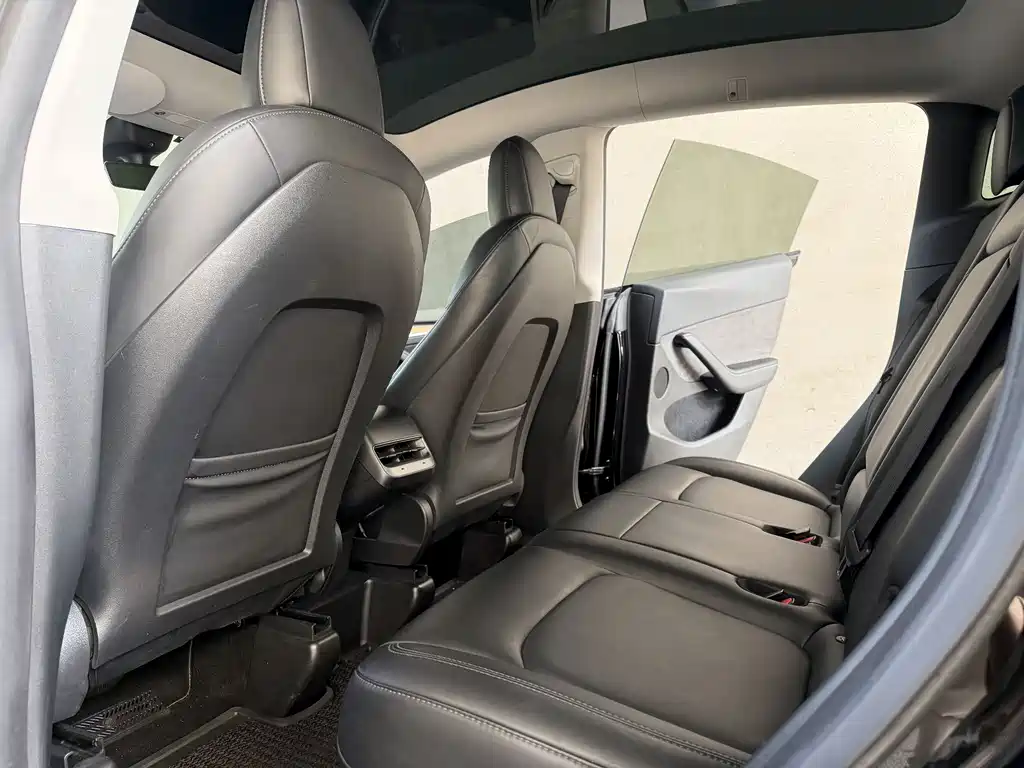 Tesla Model Y — фото 16