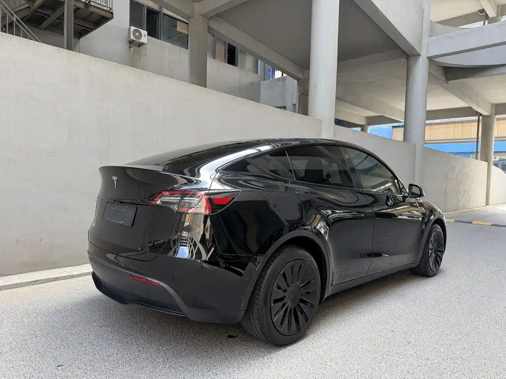 Tesla Model Y — фото 3