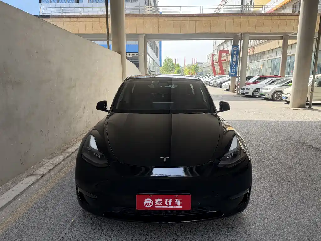 Tesla Model Y — фото 6