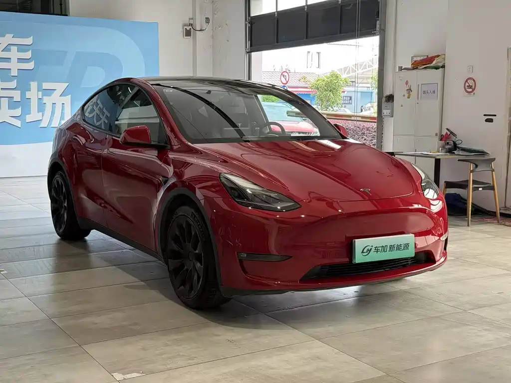 Tesla Model Y — фото 3