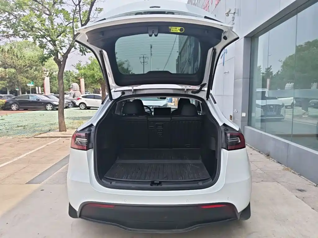 Tesla Model Y — фото 19