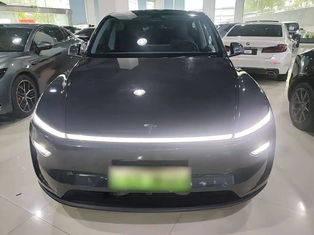 Tesla Model Y — фото 3