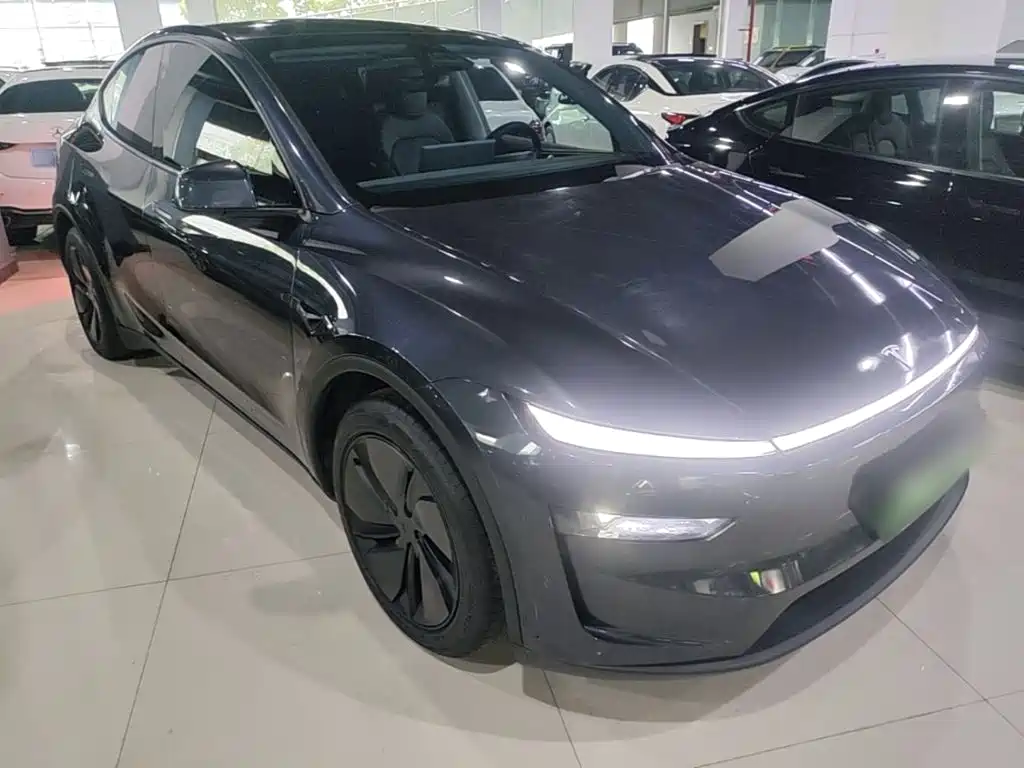Tesla Model Y — фото 4