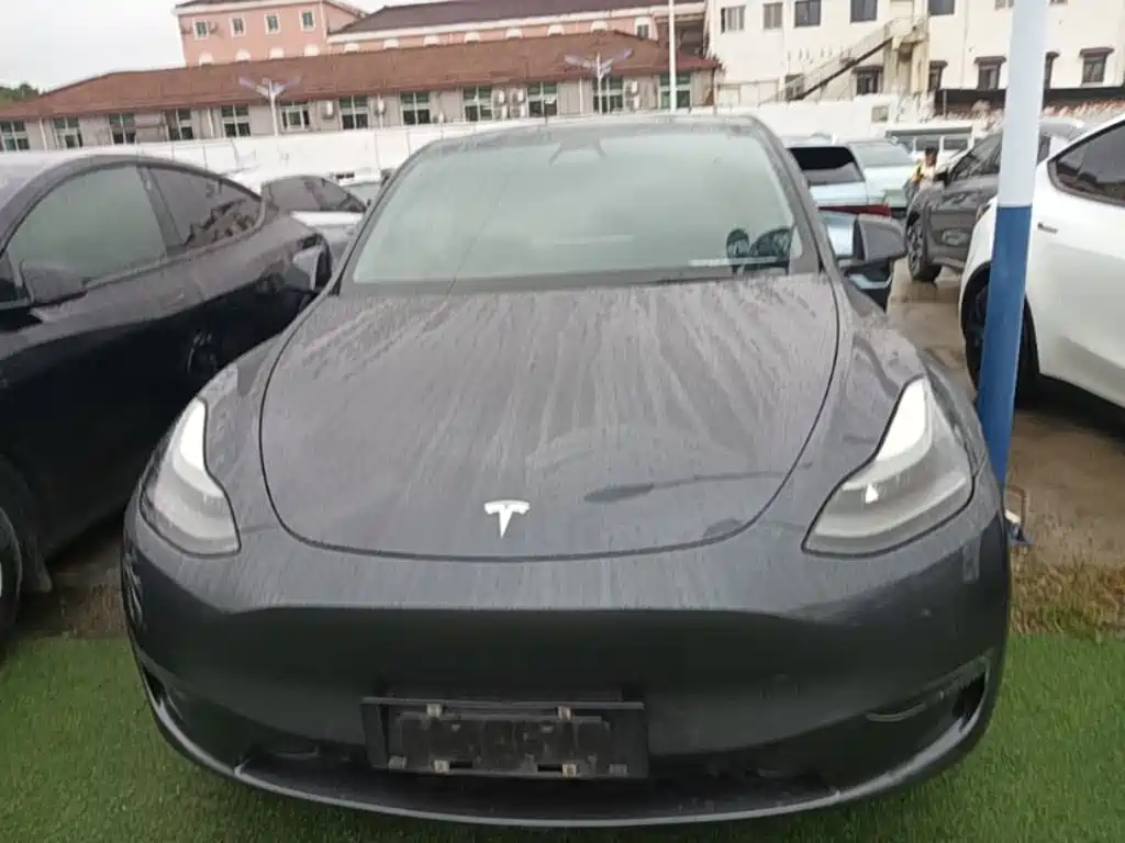 Tesla Model Y — фото 3