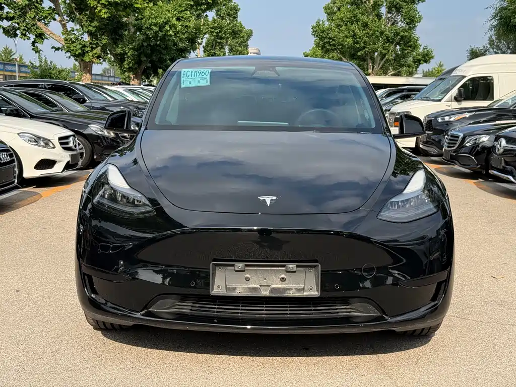 Tesla Model Y — фото 2