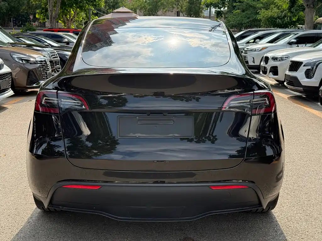 Tesla Model Y — фото 11