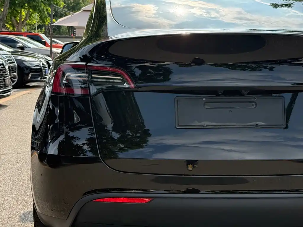 Tesla Model Y — фото 15