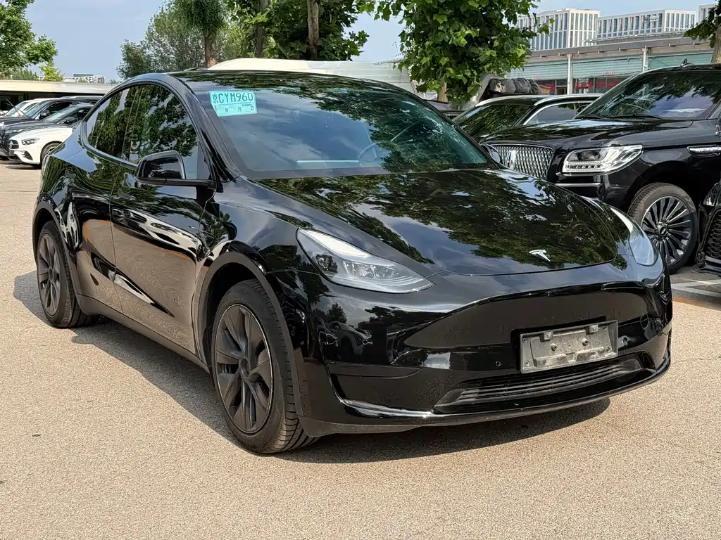 Tesla Model Y — фото 3