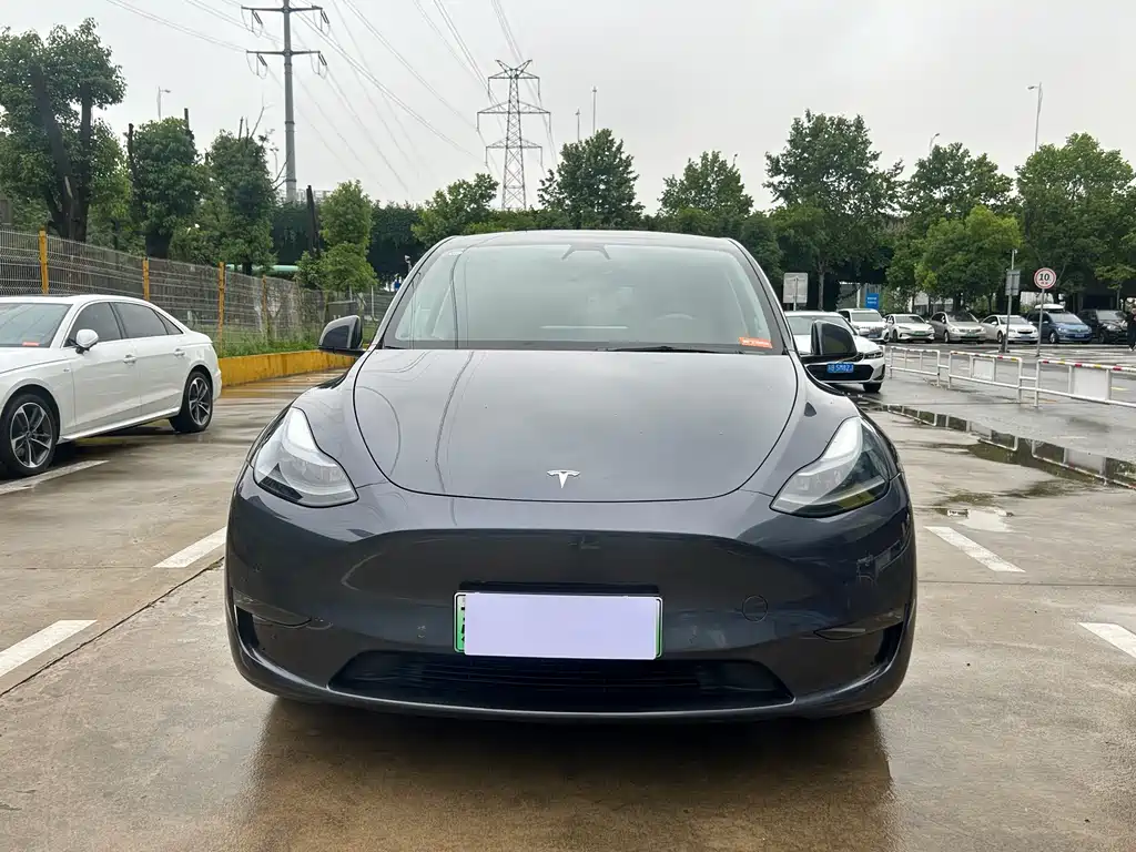 Tesla Model Y — фото 2