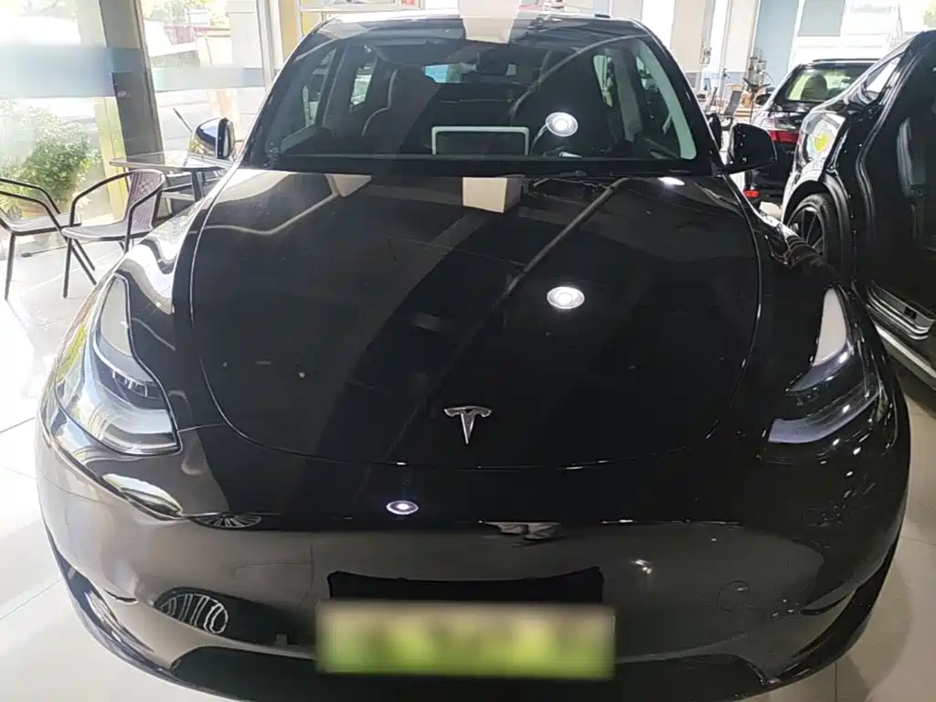 Tesla Model Y — фото 3