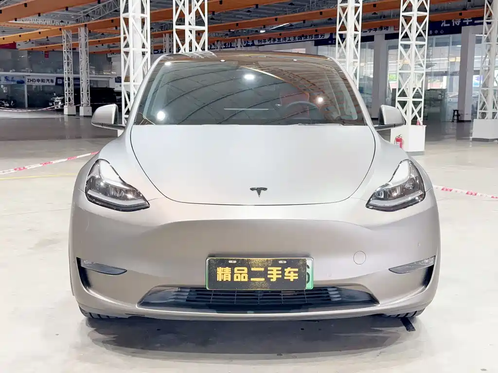 Tesla Model Y — фото 2