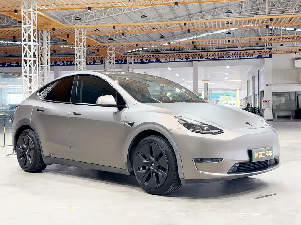 Tesla Model Y — фото 3