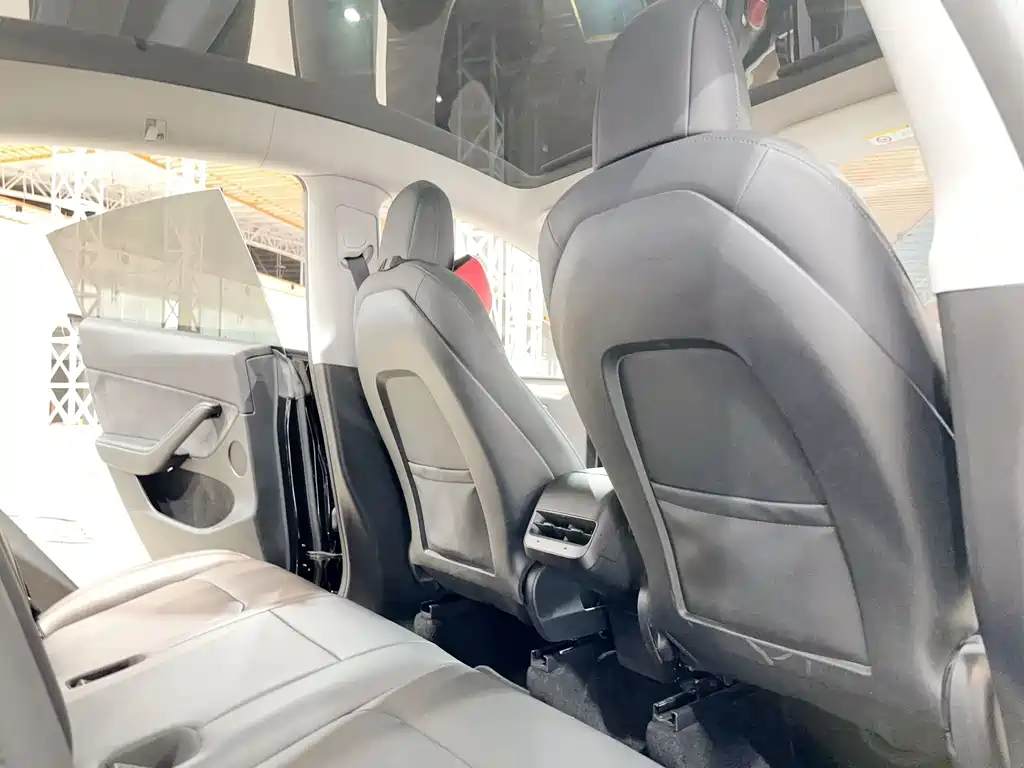 Tesla Model Y — фото 21
