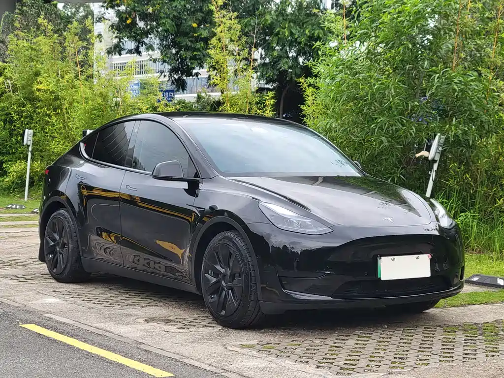 Tesla Model Y — фото 3