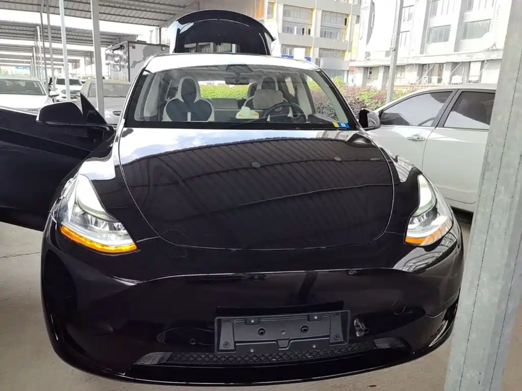 Tesla Model Y — фото 3
