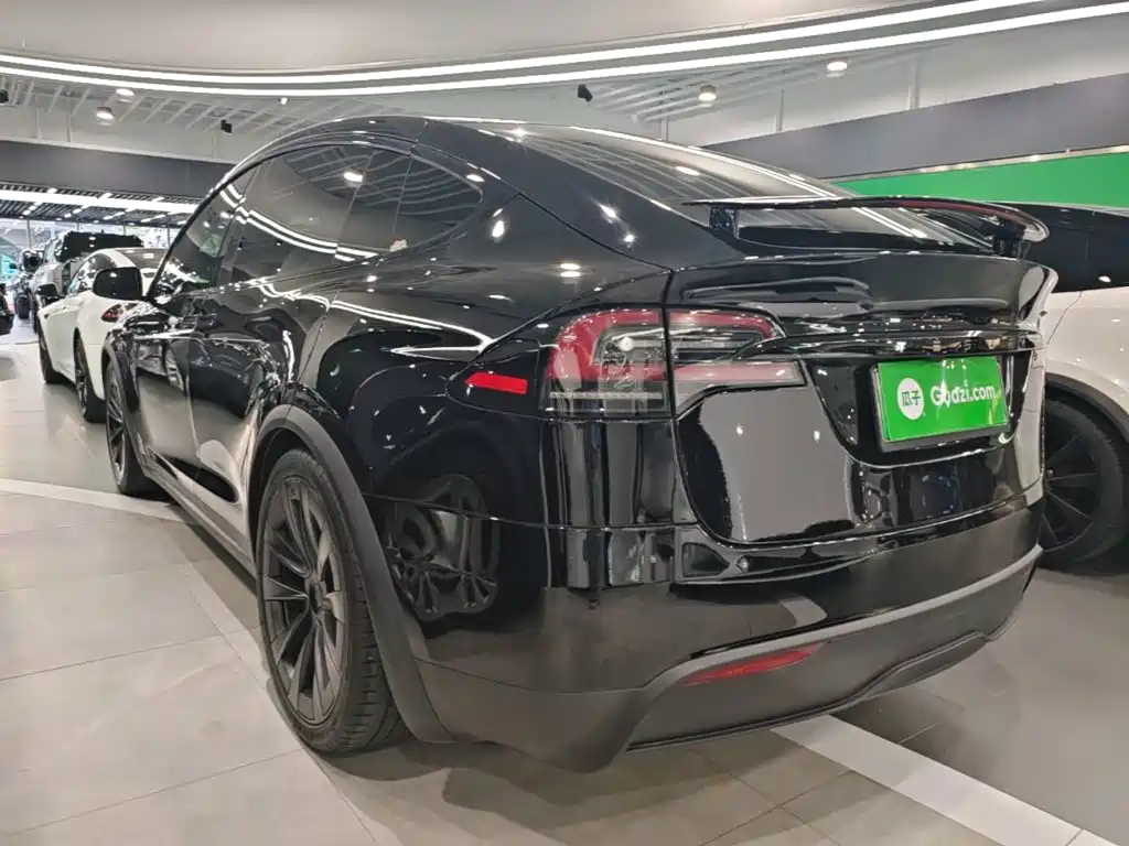 Tesla Model X — фото 5