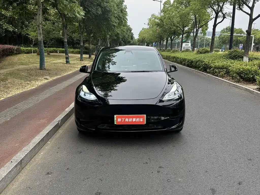 Tesla Model Y — фото 3