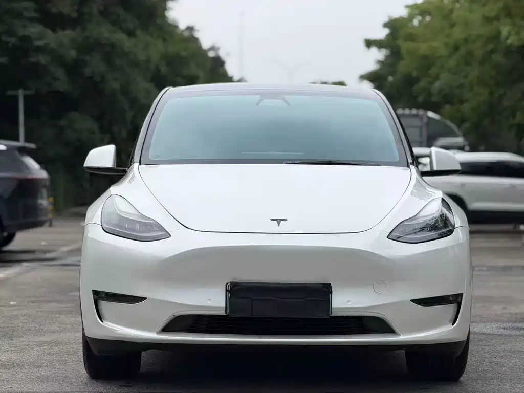 Tesla Model Y — фото 2