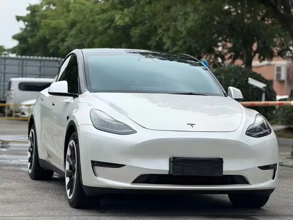 Tesla Model Y — фото 3