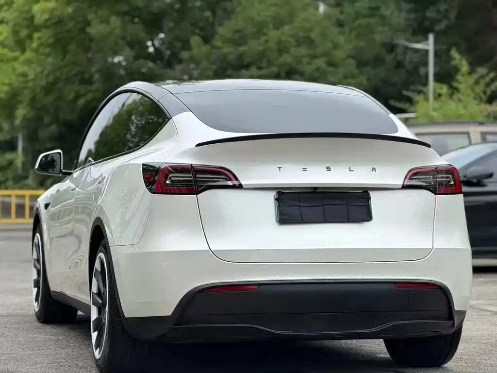 Tesla Model Y — фото 7