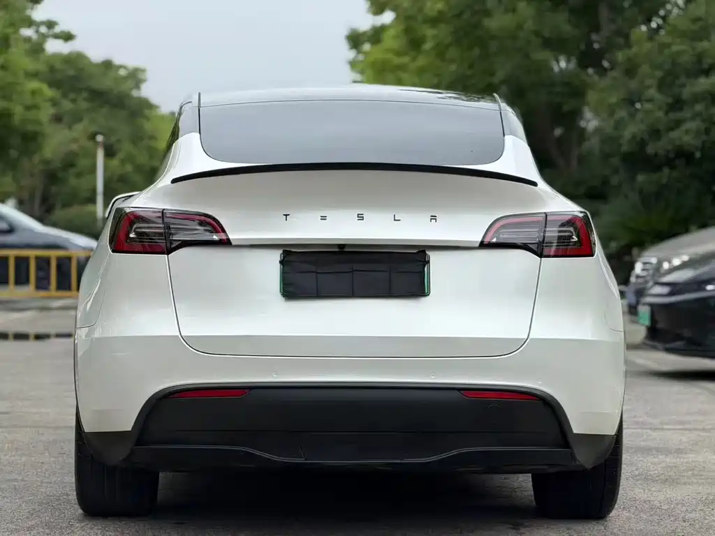 Tesla Model Y — фото 8