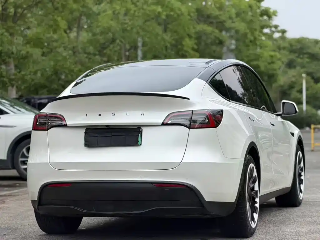 Tesla Model Y — фото 9