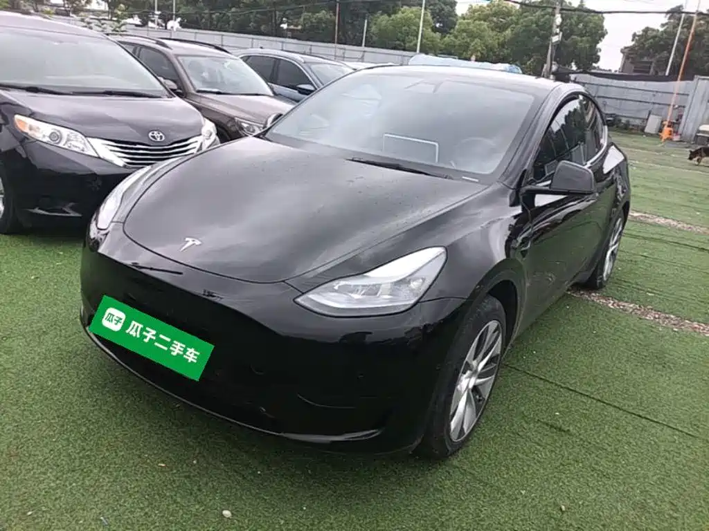 Tesla Model Y — фото 2