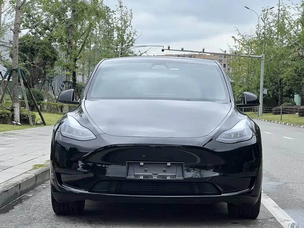 Tesla Model Y — фото 2