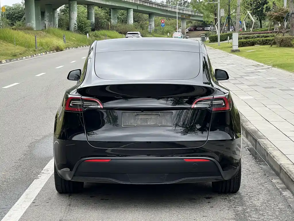 Tesla Model Y — фото 4