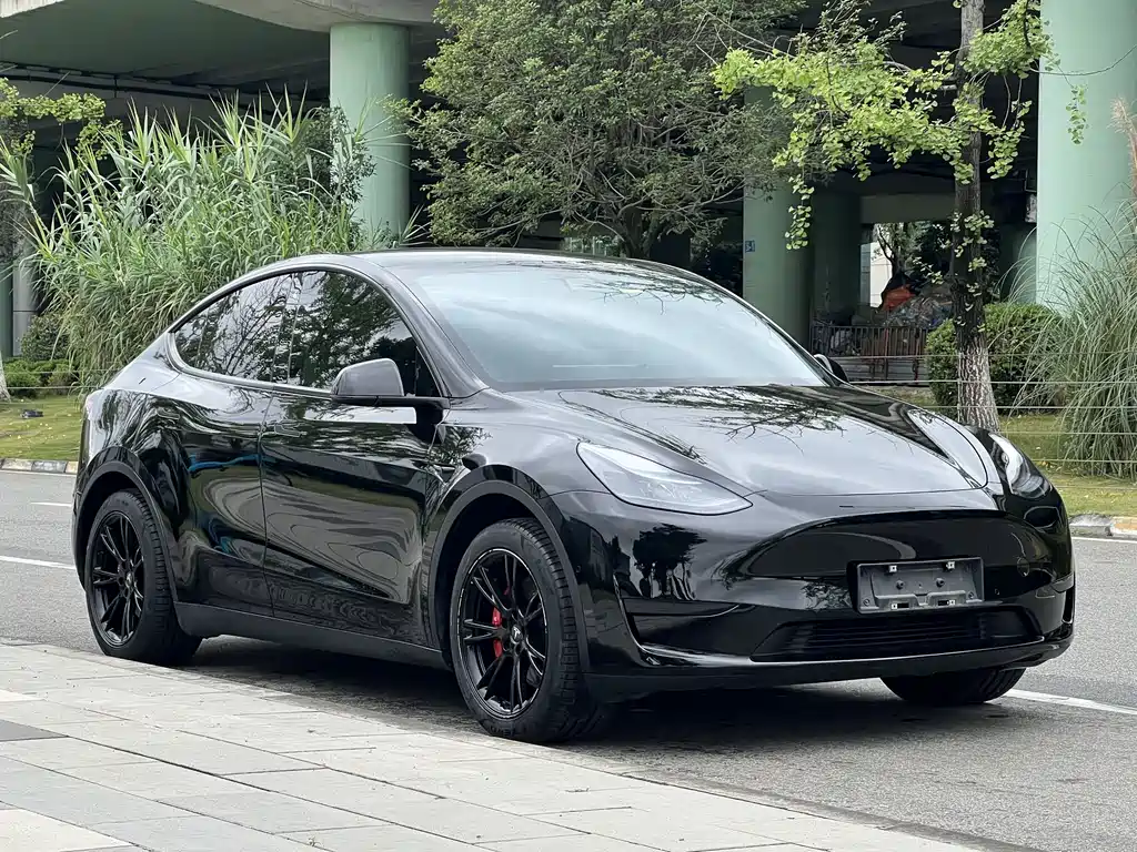 Tesla Model Y — фото 7