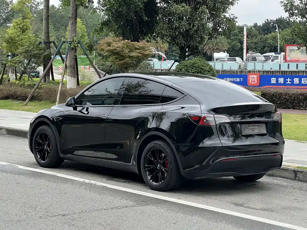Tesla Model Y — фото 10