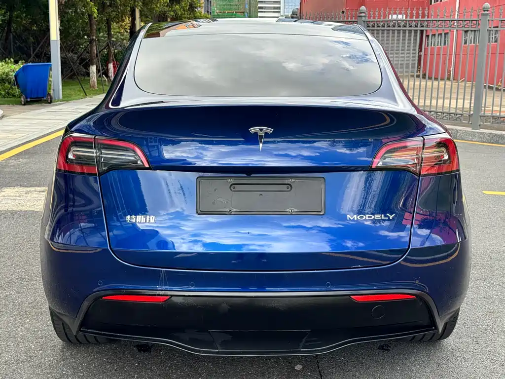 Tesla Model Y — фото 5