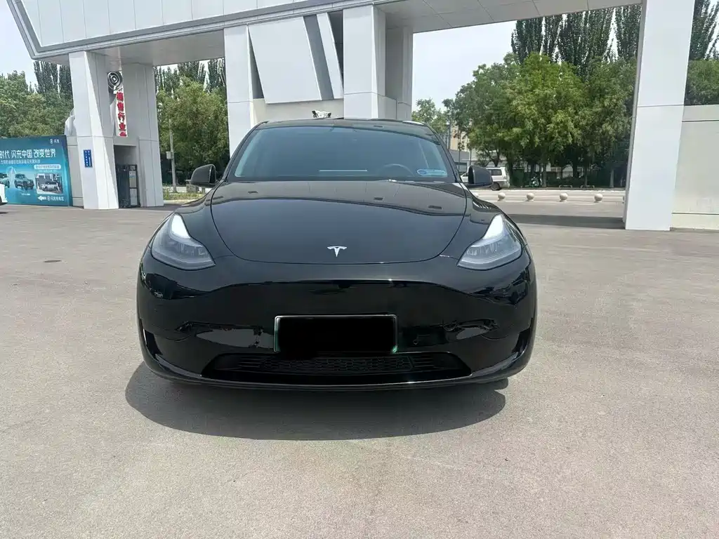 Tesla Model Y — фото 2