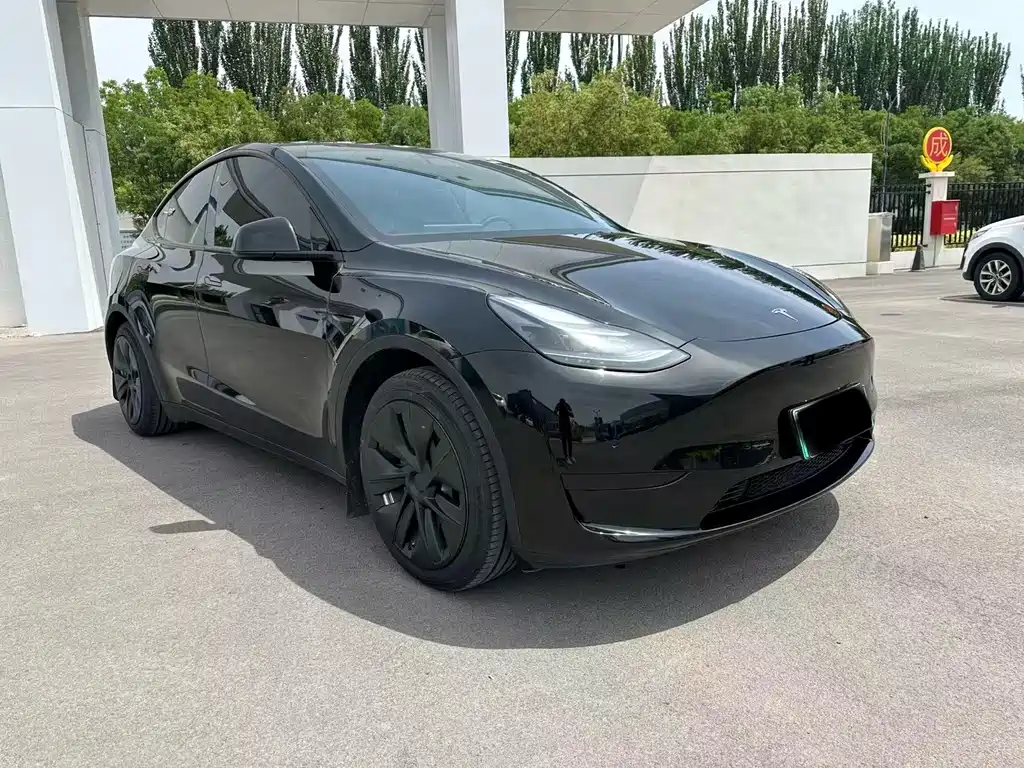 Tesla Model Y — фото 3