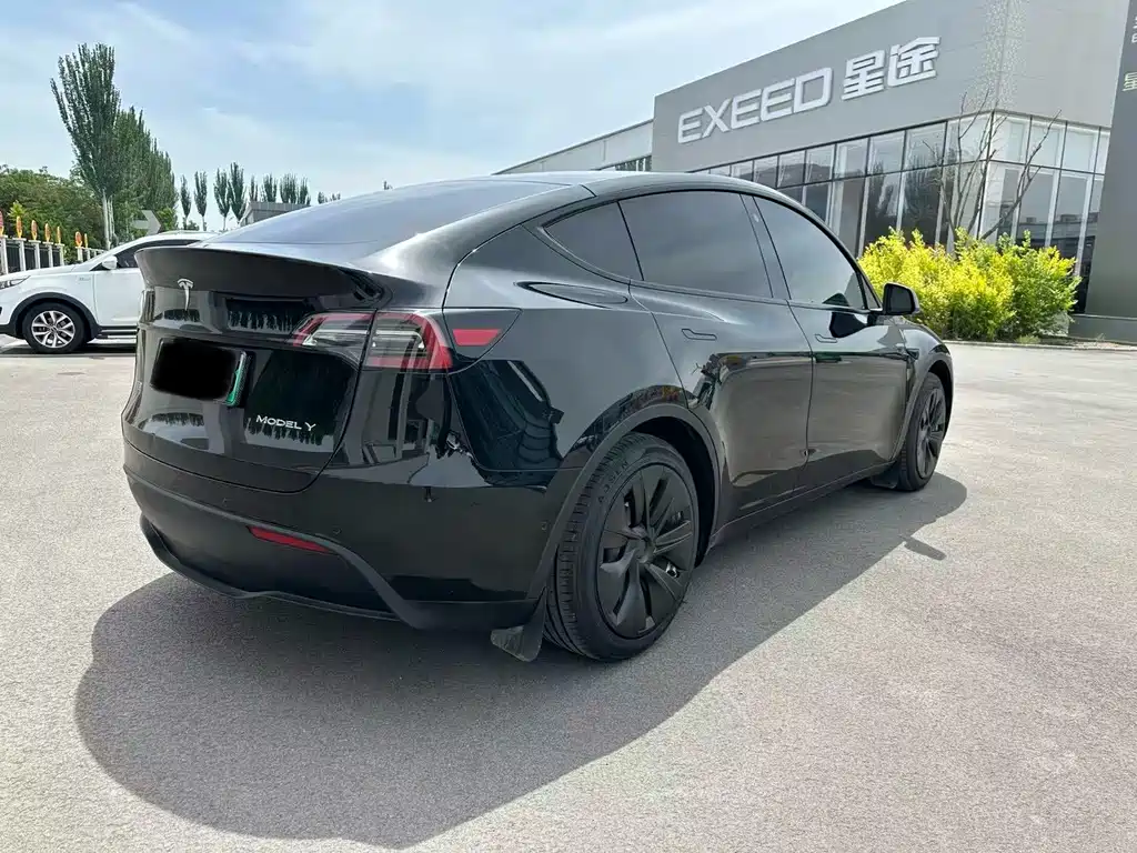 Tesla Model Y — фото 8