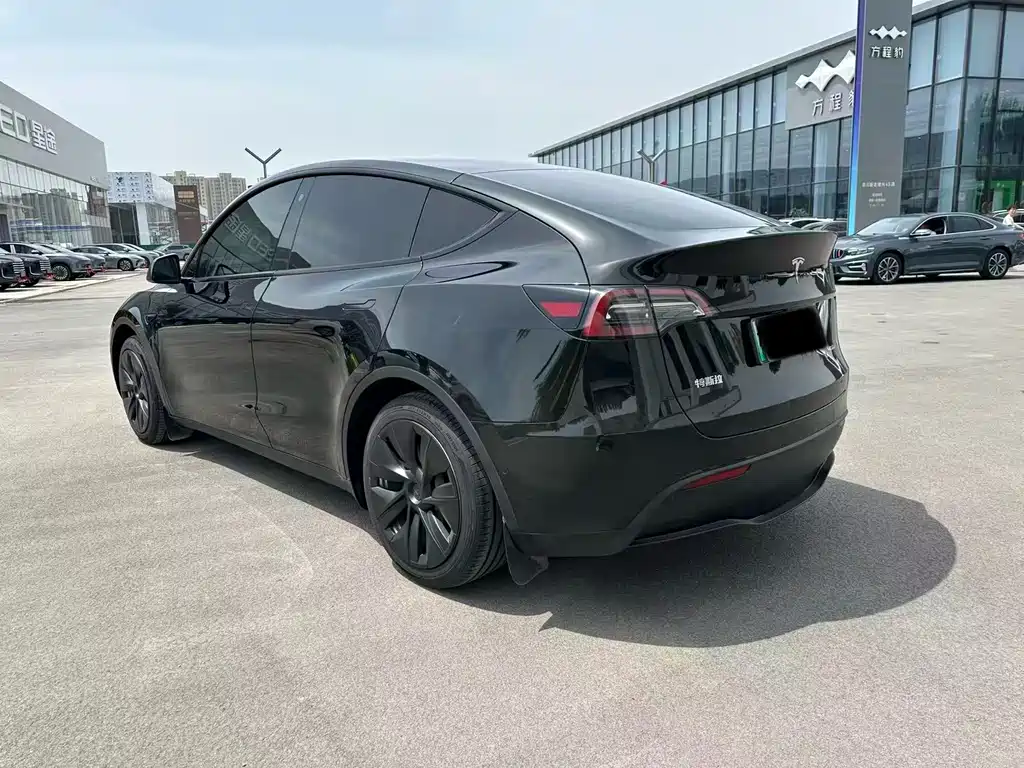Tesla Model Y — фото 9
