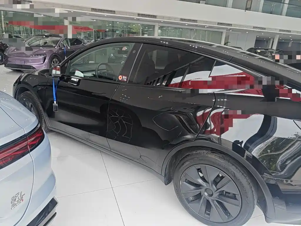 Tesla Model Y — фото 23
