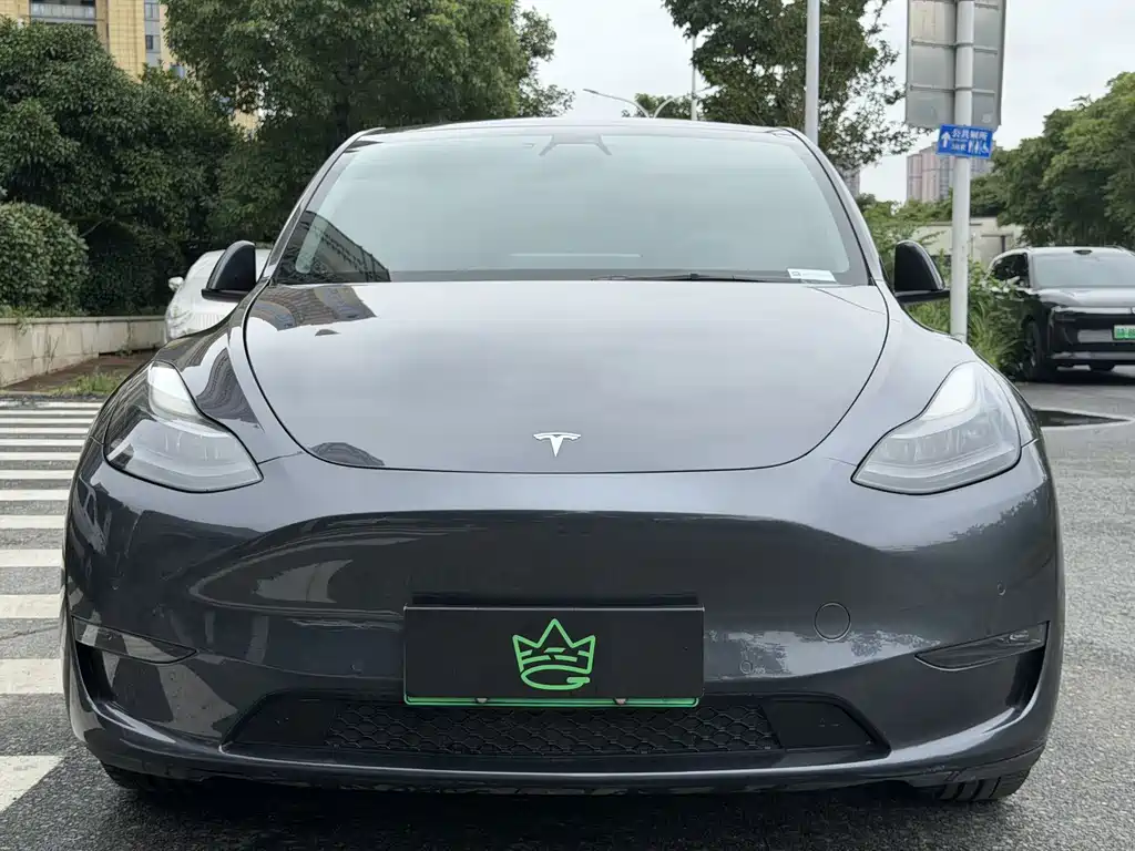 Tesla Model Y — фото 2